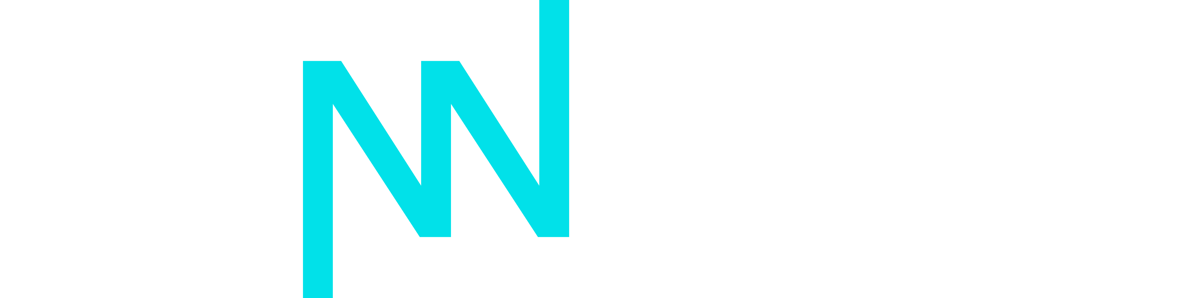 synnergry logo